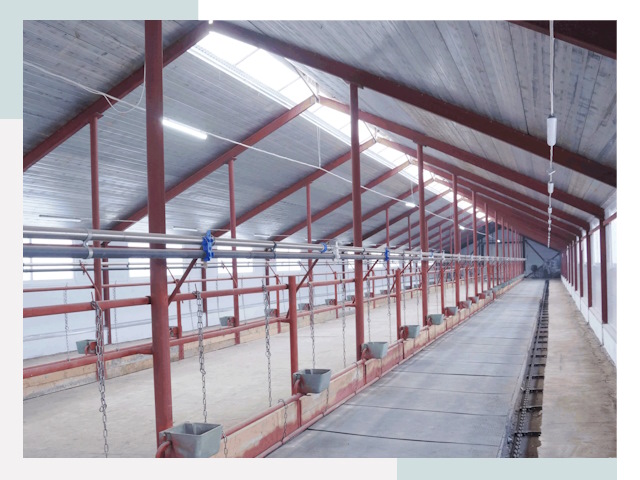 Строительство коровников в слободском от 618 руб.