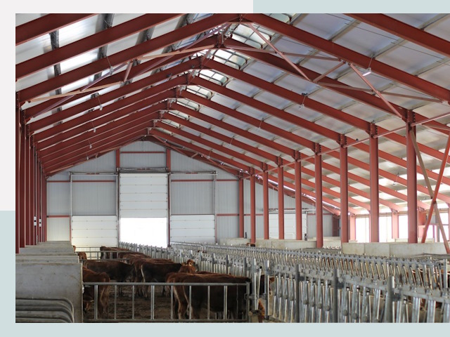 Строительство коровников в слободском