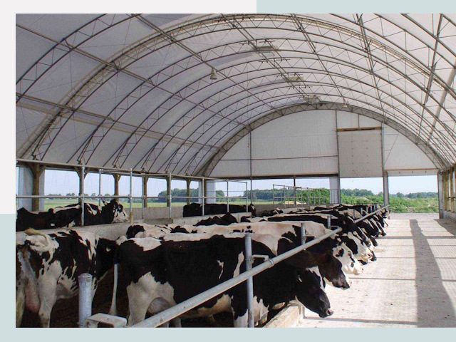 Тентовые коровники в слободском